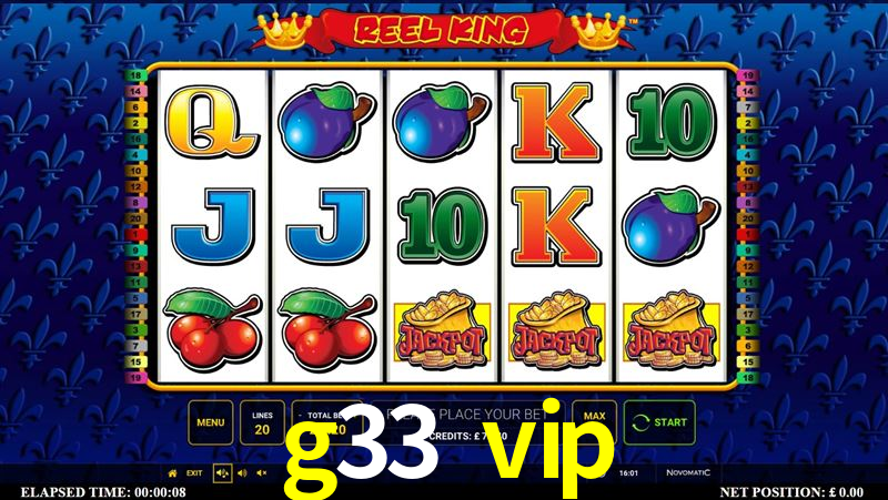 g33 vip